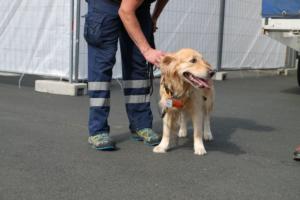 Training Manderbach Lauber 06.09 (065)