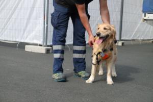 Training Manderbach Lauber 06.09 (066)