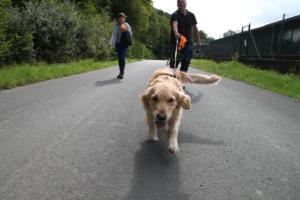 Training Manderbach Lauber 06.09 (067)