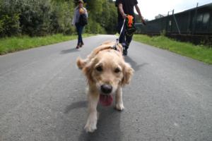 Training Manderbach Lauber 06.09 (068)