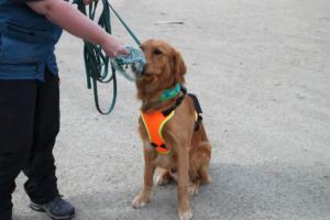 Training Manderbach Lauber 06.09 (070)