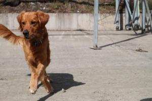 Training Manderbach Lauber 06.09 (072)