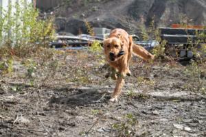 Training Manderbach Lauber 06.09 (075)