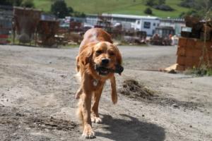 Training Manderbach Lauber 06.09 (077)