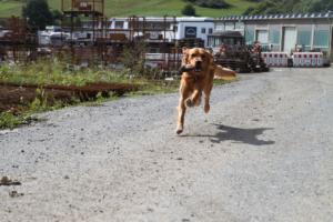 Training Manderbach Lauber 06.09 (078)