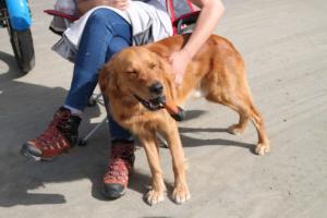 Training Manderbach Lauber 06.09 (081)