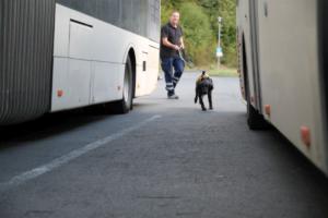 Training Manderbach Lauber 06.09 (089)