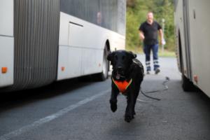 Training Manderbach Lauber 06.09 (090)