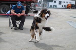 Training Manderbach Lauber 06.09 (092)