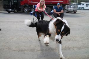 Training Manderbach Lauber 06.09 (094)