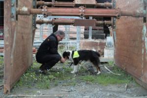 Training Manderbach Lauber 06.09 (095)